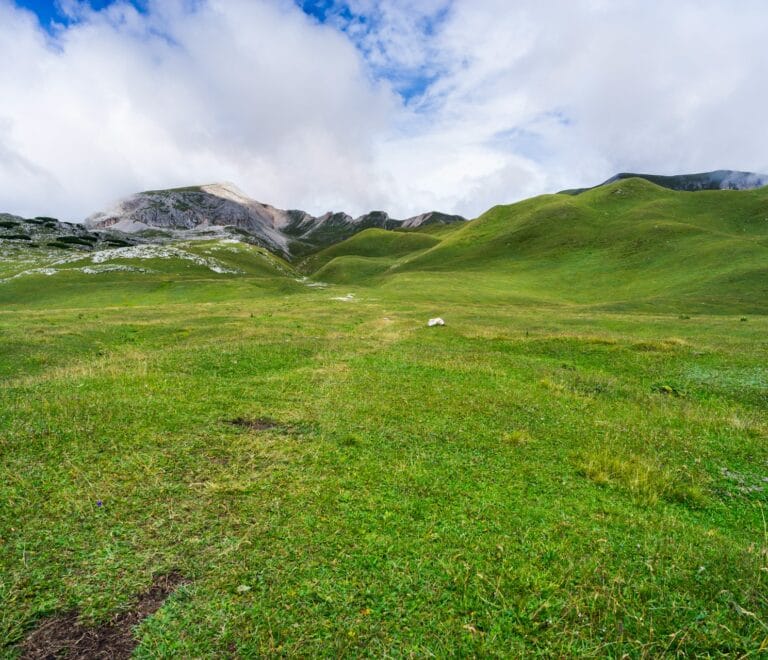 Tosamaidan 4 Nights 5 Day Trek