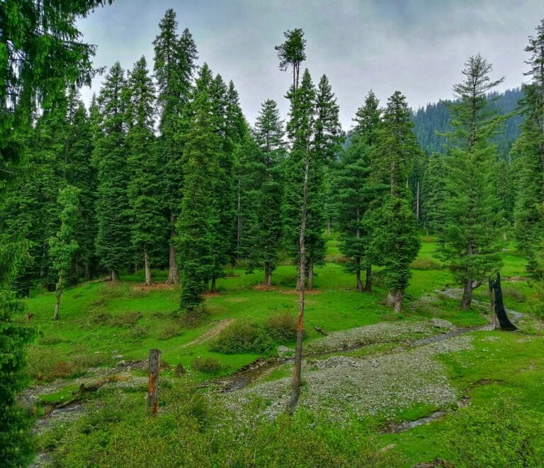 Kashmir 4 Nights 5 Day Package