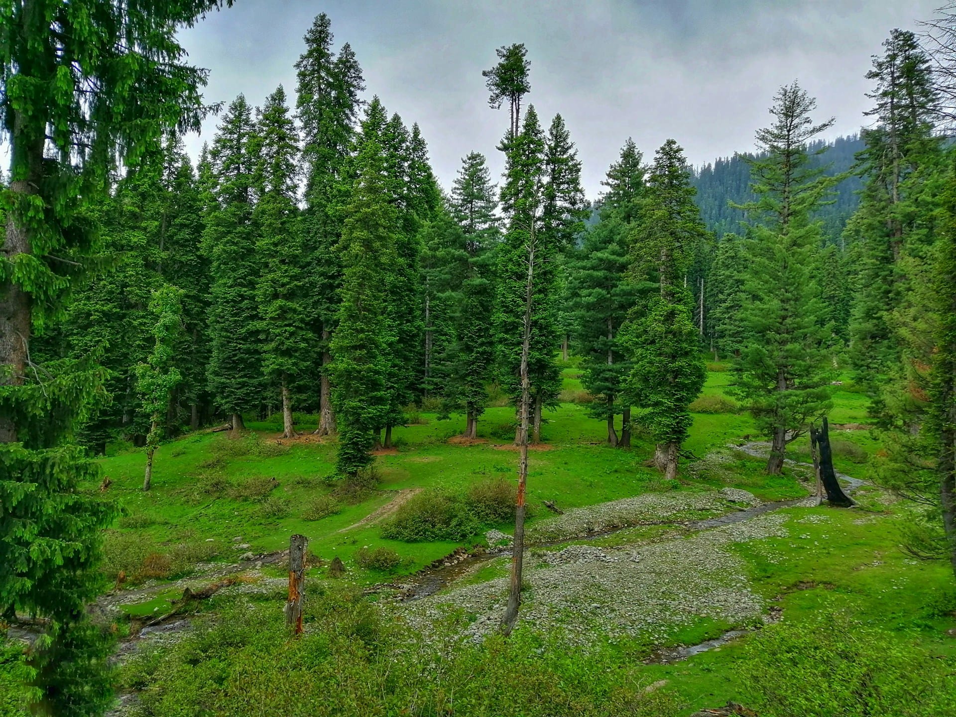 Kashmir 4 Nights 5 Day Package