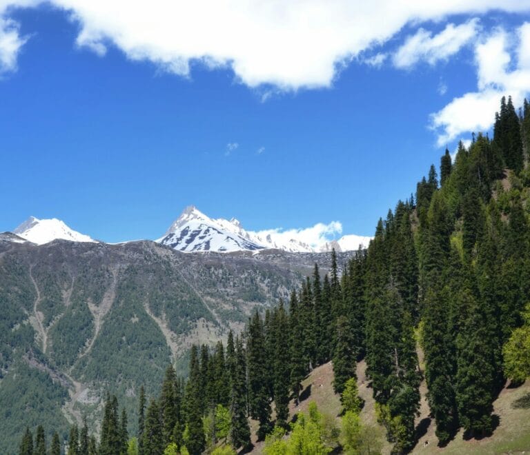 Kashmir 5 Nights 6 Day Package